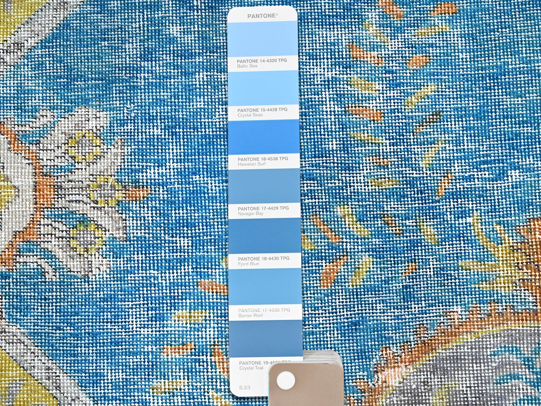 Text